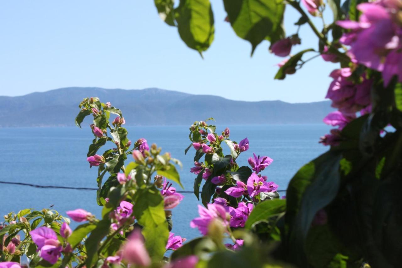 Apartments By The Sea Podaca, Makarska - 6745 Bagian luar foto